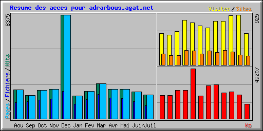 Resume des acces pour adrarbous.agat.net
