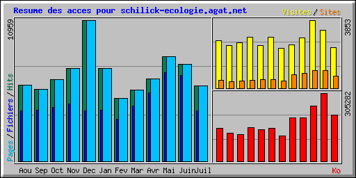 Resume des acces pour schilick-ecologie.agat.net