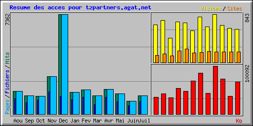 Resume des acces pour tzpartners.agat.net