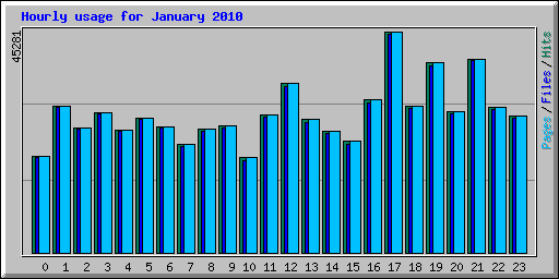 Hourly usage for January 2010