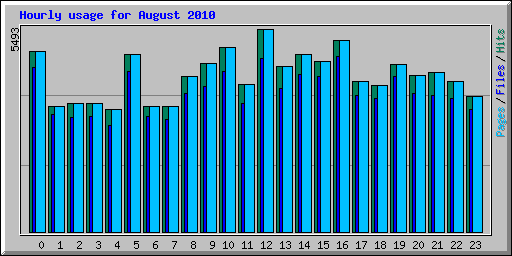 Hourly usage for August 2010